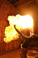 The Rabbit Tree - Hostel