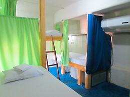 The Rabbit Tree - Hostel