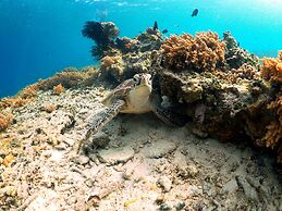 The Rabbit Tree - Hostel