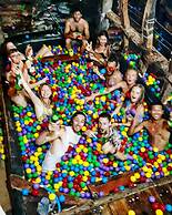 The Rabbit Tree - Hostel