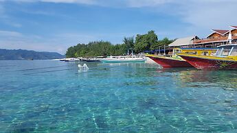 The Rabbit Tree - Hostel