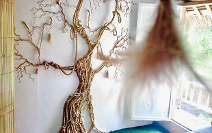 The Rabbit Tree - Hostel