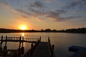 The Rabbit Tree - Hostel