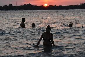 The Rabbit Tree - Hostel