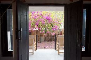 The Rabbit Tree - Hostel