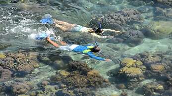 Iris Island Eco Resort