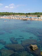 Residence la Darsena