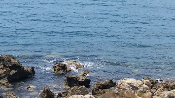 Residence la Darsena