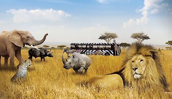 Holidaypark Duinhoeve