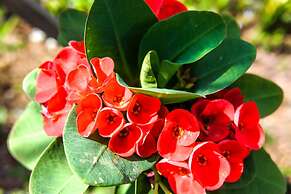 Boreirom Teuk Chhou Resort