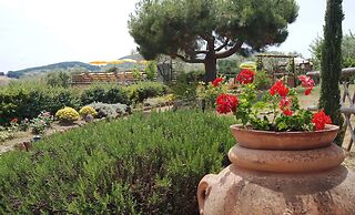 Agriturismo Signorini