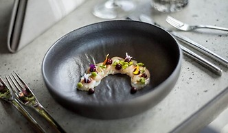 Felix Suiten am Zwinger