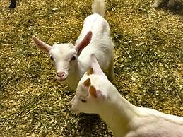 Agriturismo Chevres a Cheval