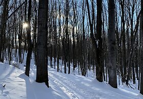 La CACHE du LAC