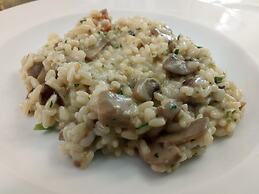 Hotel Lungomare Cattolica