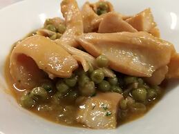 Hotel Lungomare Cattolica