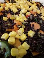 Hotel Lungomare Cattolica