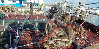 Sea & Moon Tourist Hotel