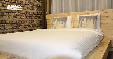 Park hotel Shishka