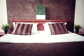 Park hotel Shishka