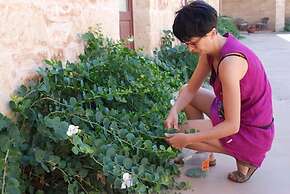 Agriturismo Masseria Galatea