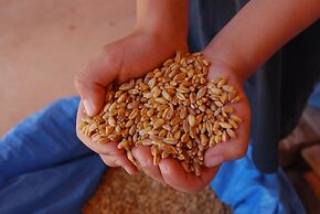 Agriturismo Masseria Galatea