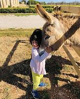 Agriturismo Masseria Galatea