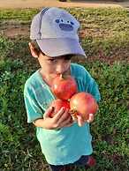 Agriturismo Masseria Galatea