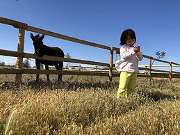 Agriturismo Masseria Galatea