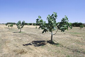 Agriturismo Masseria Galatea