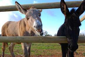 Agriturismo Masseria Galatea