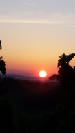 Agriturismo il Poggiarello