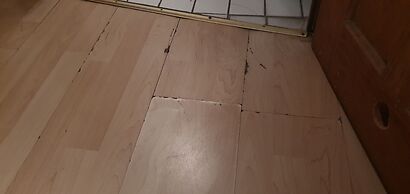 Harsdörffer Apartment