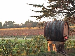 Château Pech-céleyran