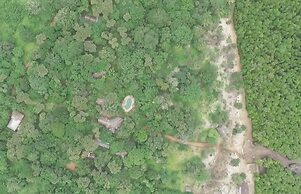 Mikoko Cove Ecolodge