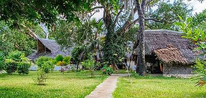 Mikoko Cove Ecolodge