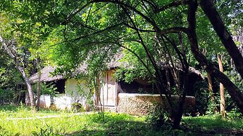 Mikoko Cove Ecolodge