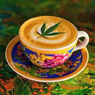 Santiago DC - Hostel