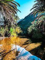 Sunset Surfhouse - Hostel