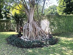 Villa San Antonio de Padua