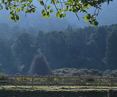 Tongariro Boutique B&B