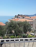 Apartments Andjus