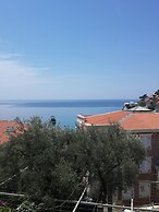 Apartments Andjus