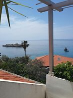 Apartments Andjus