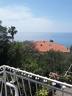 Apartments Andjus