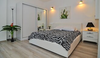 Apartments Stankovic