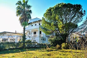 Apartments Stankovic