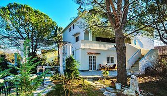 Apartments Stankovic