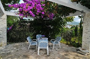 Apartments Stankovic