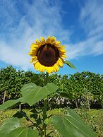 Casa Povo Vicino FBK e Università